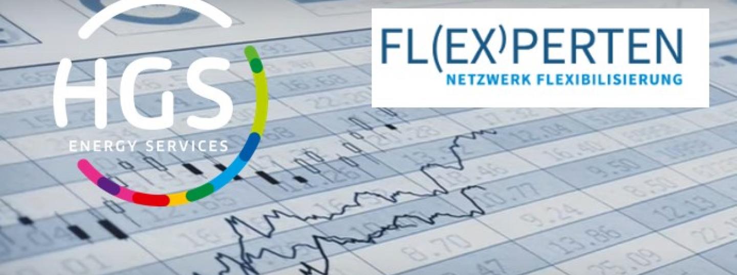 Seminarreihe Flexperten